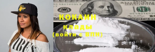 ешки Вяземский