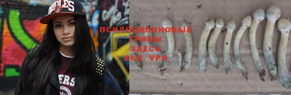 молекула духа Верхний Тагил
