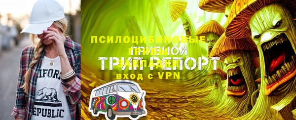 молекула духа Верхний Тагил