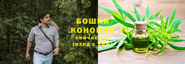 молекула духа Верхний Тагил