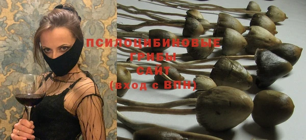 твердый Волоколамск