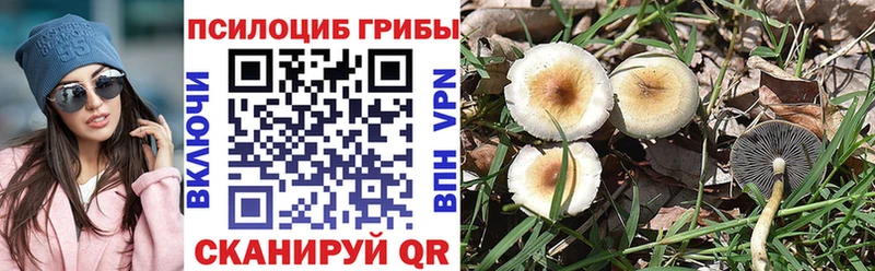 даркнет сайт  Пушкино  Псилоцибиновые грибы Psilocybe 